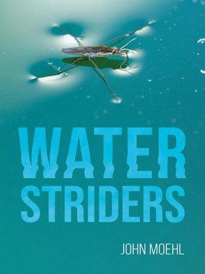 cover image of Water Striders